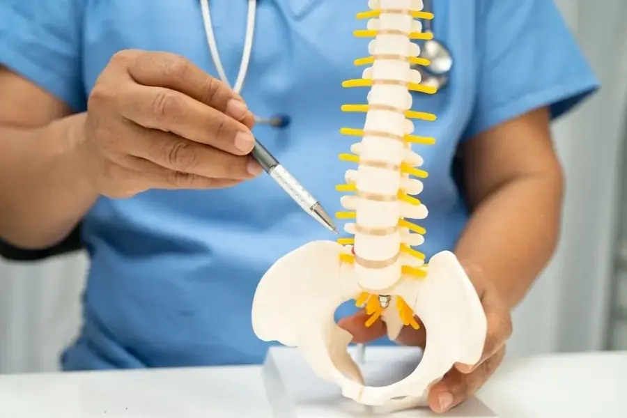 Especialista en ciática en León explicando con un modelo de columna lumbar el origen del dolor del nervio ciático
